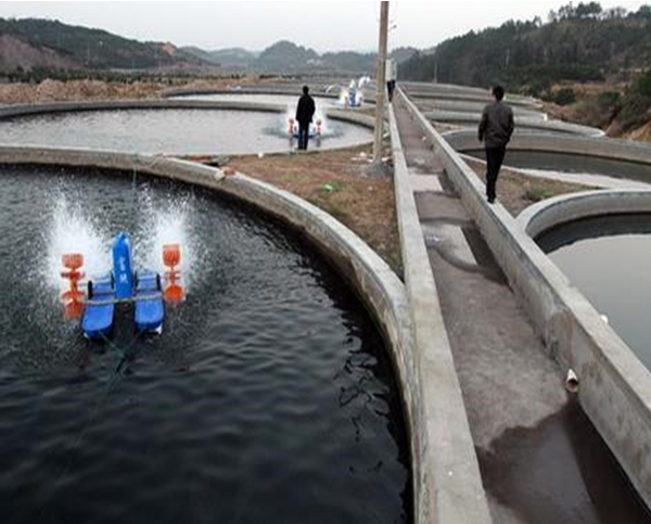 水产养殖智能监控系统