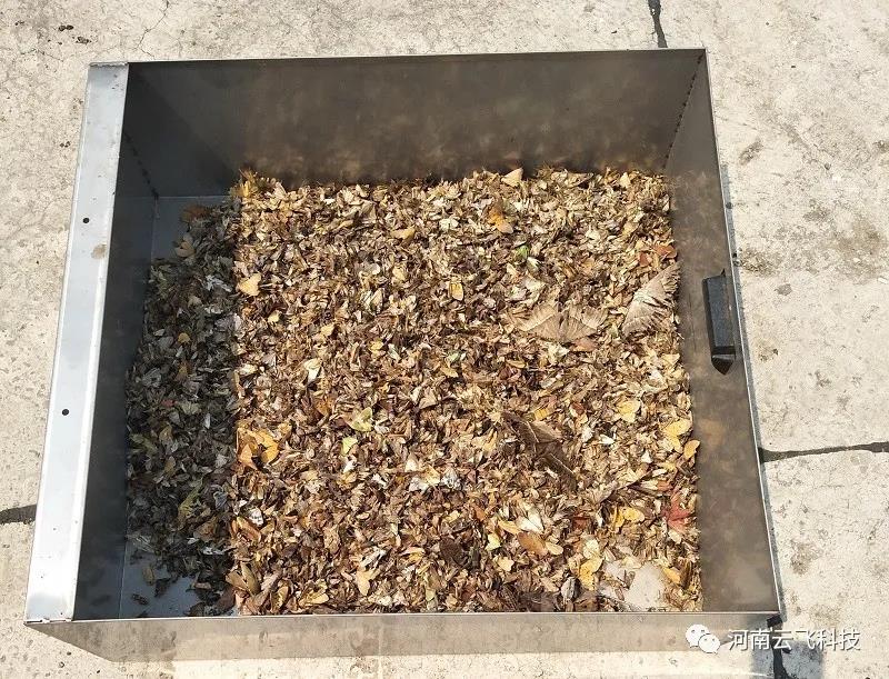 抗战妖蛾,虫口夺粮,云飞科技在行动!