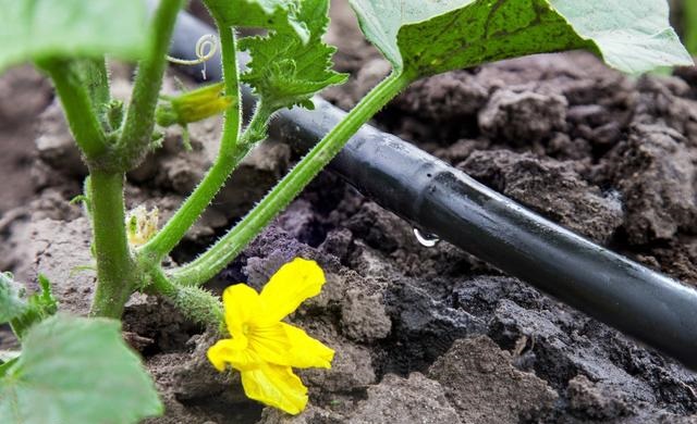 ˮ��һ�廯���ϵͳ