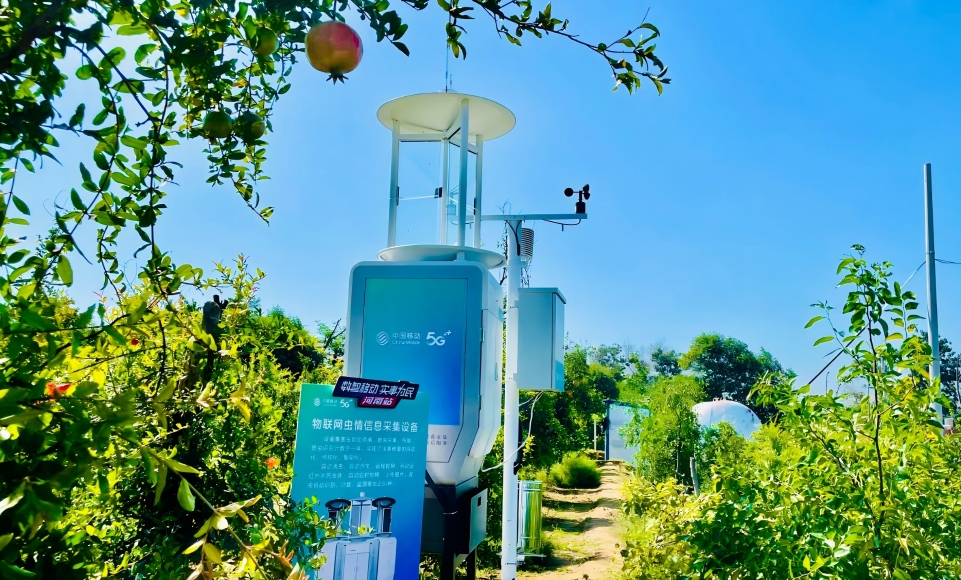 如何选择合适的自动虫情测报灯