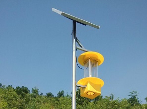 太阳能杀虫灯