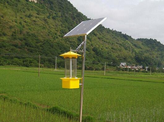 太阳能杀虫灯对种植者和消费者都是有利的|河南云飞科技