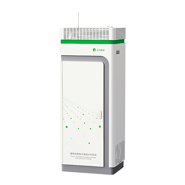 ���������ǵ����¼�����������