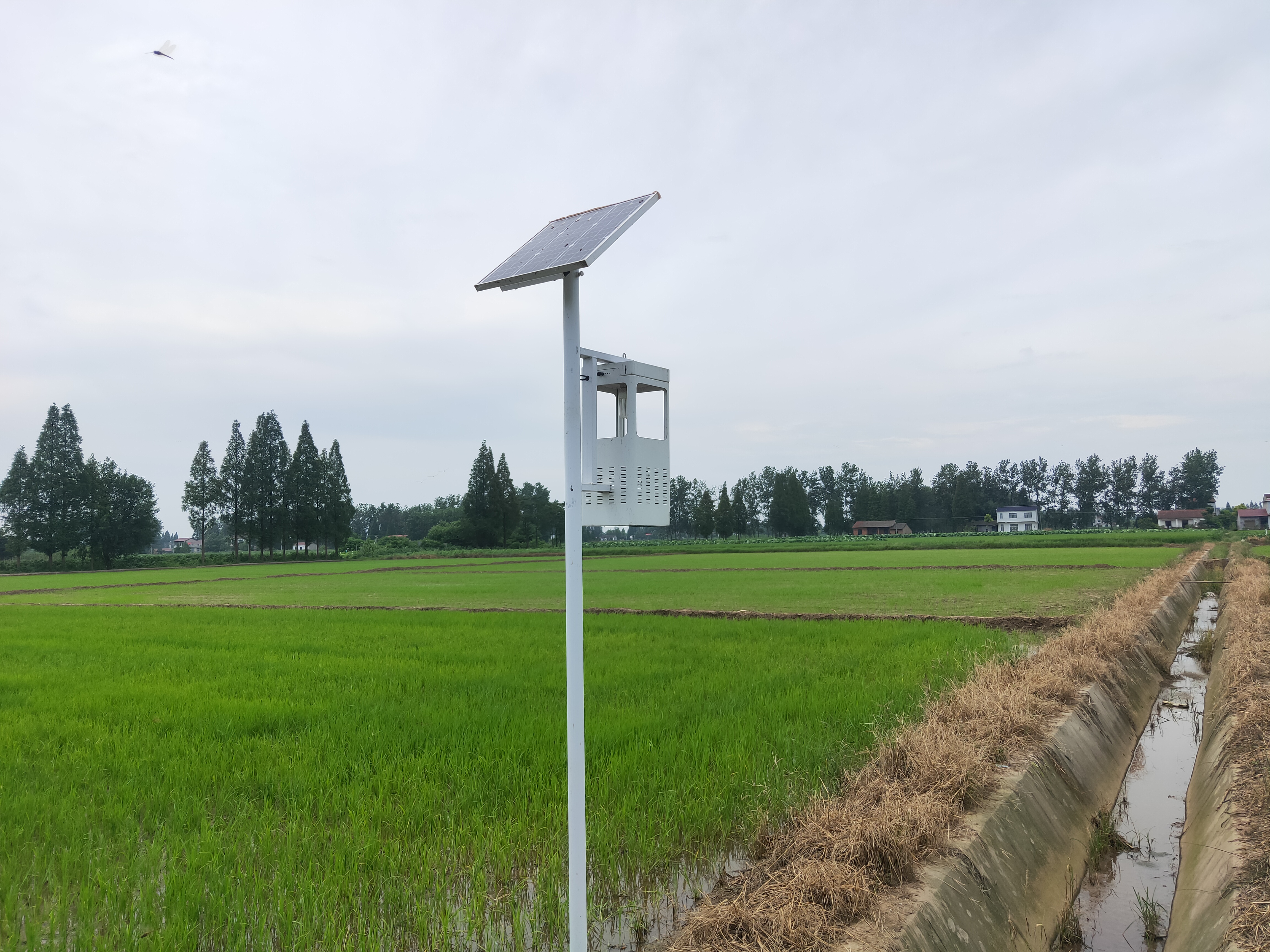 云飞风吸式太阳能杀虫灯